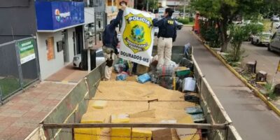 PRF faz a maior apreensão de maconha do ano em Ponta Porã