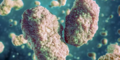 Saúde descarta 16 suspeitas da varíola dos macacos