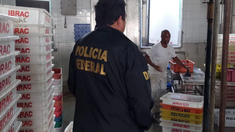 PF e ICMBio apreendem 30t de pesca irregular