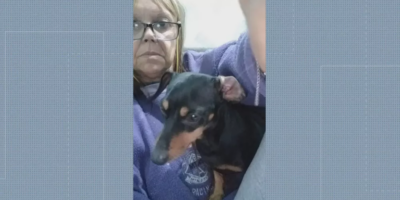 Niterói: Sumiço de cachorro vai parar na Justiça