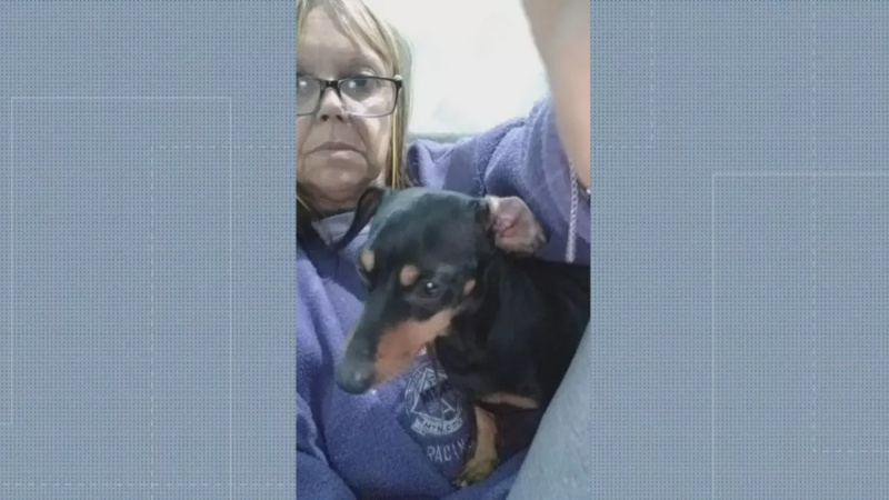 Niterói: Sumiço de cachorro vai parar na Justiça