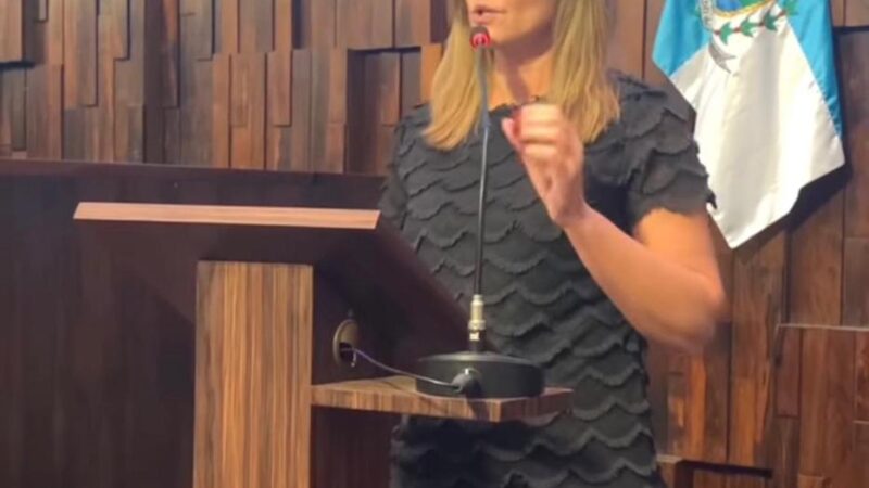 Deputada quer indenizar consumidores por falha no fornecimento de energia