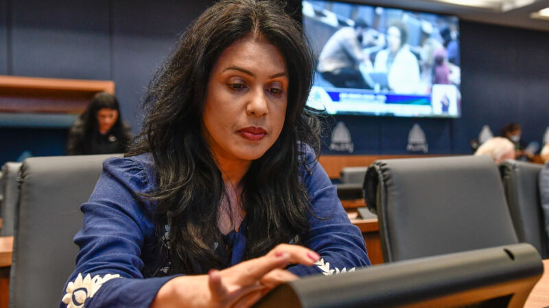 Rosane Felix inclui a defesa de nascituros na Lei Orgânica da Defensoria Pública do Estado