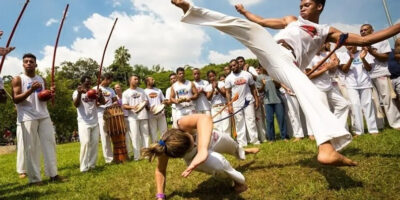 Agora é lei: estado poderá ter programa de capoterapia