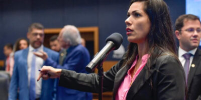 Dia do Vira-lata é incluído no calendário oficial do Estado do Rio de Janeiro