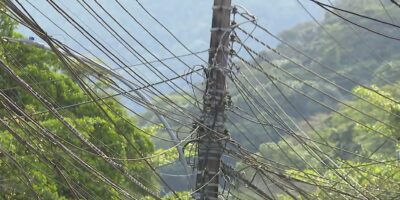 Concessionárias de energia podem ser obrigadas a custear tratamento de animais feridos em redes elétricas