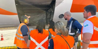 Procon-RJ autua companhias aéreas por irregularidades no transporte de animais