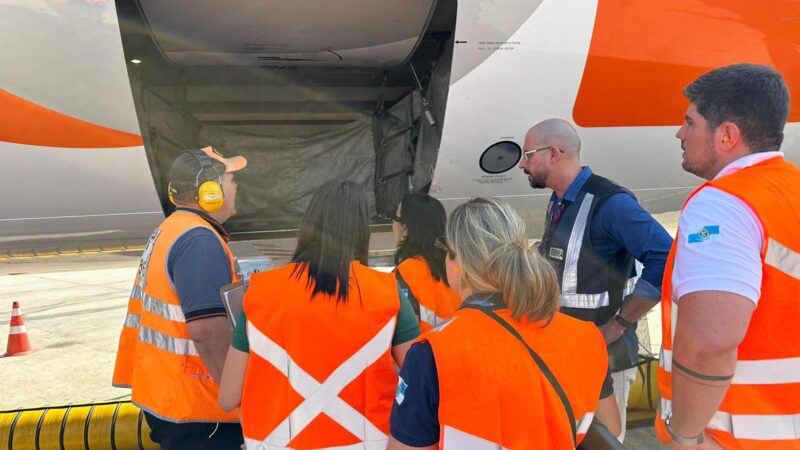 Procon-RJ autua companhias aéreas por irregularidades no transporte de animais