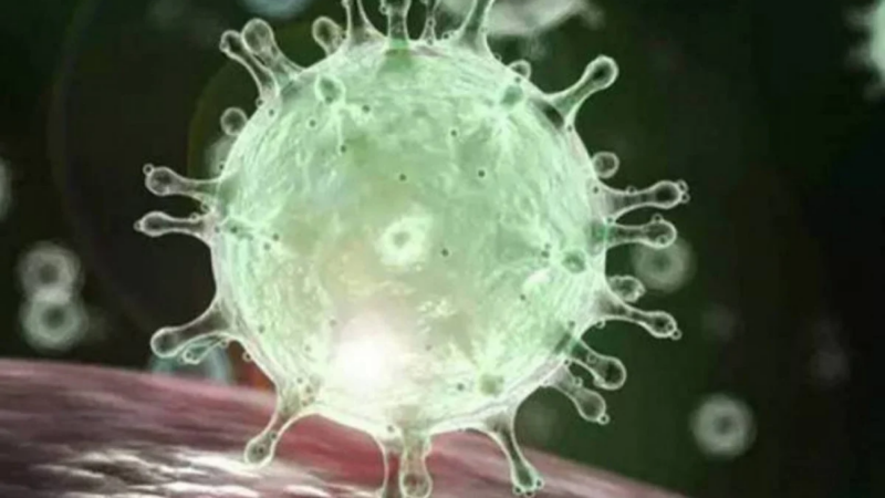 Rio registra mais de 8 mil casos de covid-19 nas últimas 24h