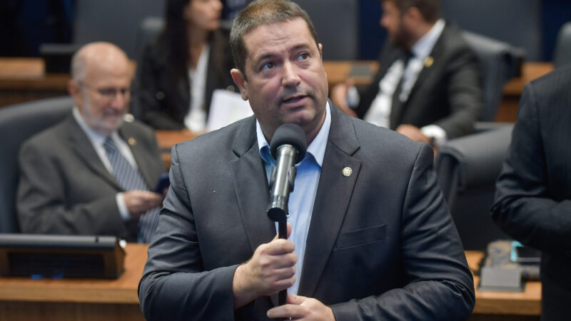 Castração gratuita de cães e gatos na Pavuna, bairro da zona norte do RJ