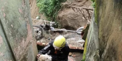 Voluntários que salvaram animais na tragédia de Petrópolis vão ganhar a Medalha Tiradentes