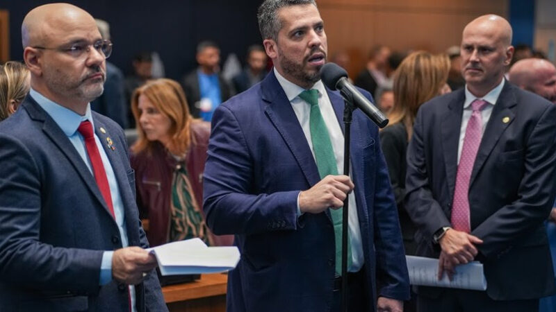 Alerj garante transporte de animais de assistência emocional em vôos no RJ