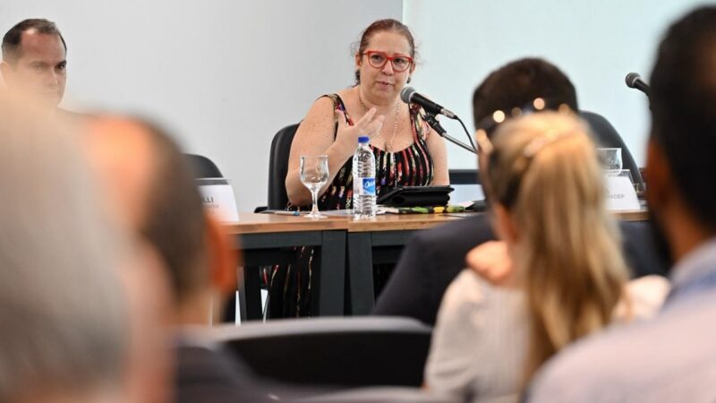 “Há casos grotescos de propaganda eleitoral”, diz diretora da Abradep sobre sites de chefes do Executivo que vão disputar eleições