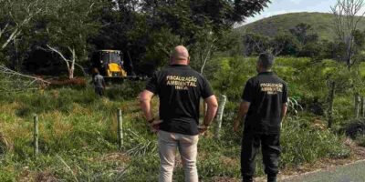 Programa ‘Florestas do Amanhã’, do Governo do Rio, dá início à restauração de 150 hectares de Mata Atlântica