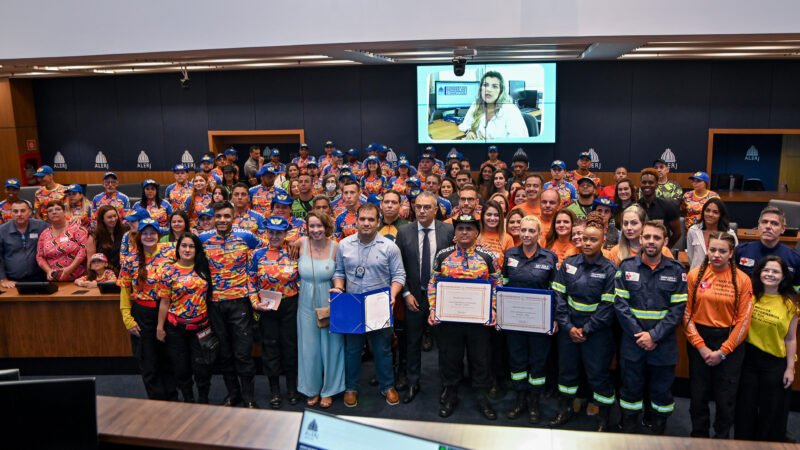 Bombeiros e voluntários que atuaram na tragédia de Petrópolis recebem Medalha Tiradentes