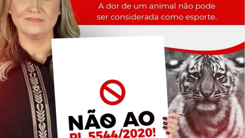 Deputada Daniela do Waguinho repudia projeto de lei que autoriza caça esportiva de animais
