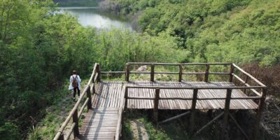 Itaboraí ganha título de Cidade de Relevância Paleontológica Estadual