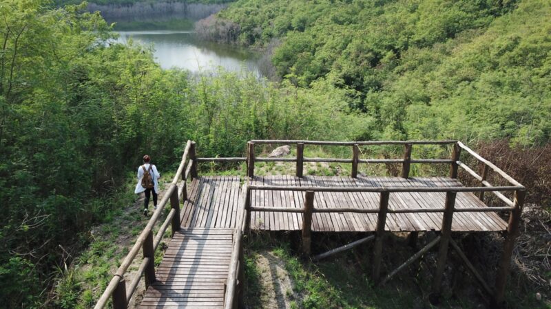 Itaboraí ganha título de Cidade de Relevância Paleontológica Estadual