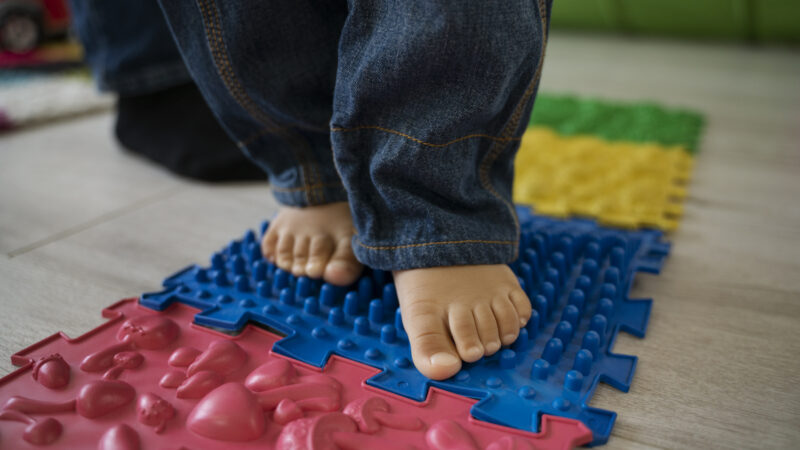 Novos parques e praças públicas poderão ter jardim sensorial