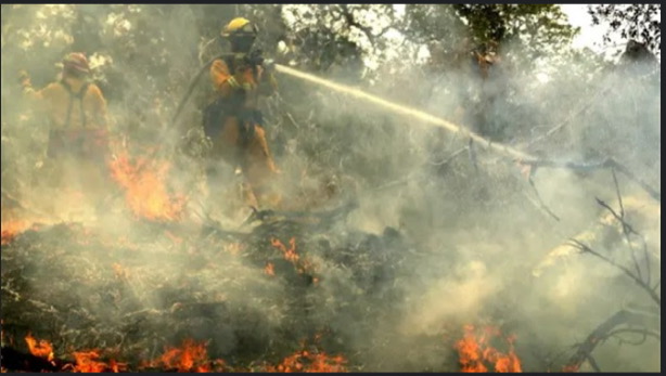 Rio ganha sistema contra incêndios florestais