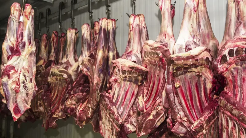 Polícia Civil realiza operação no RJ contra empresa que comercializou carne que ficou submersa na enchente de Porto Alegre