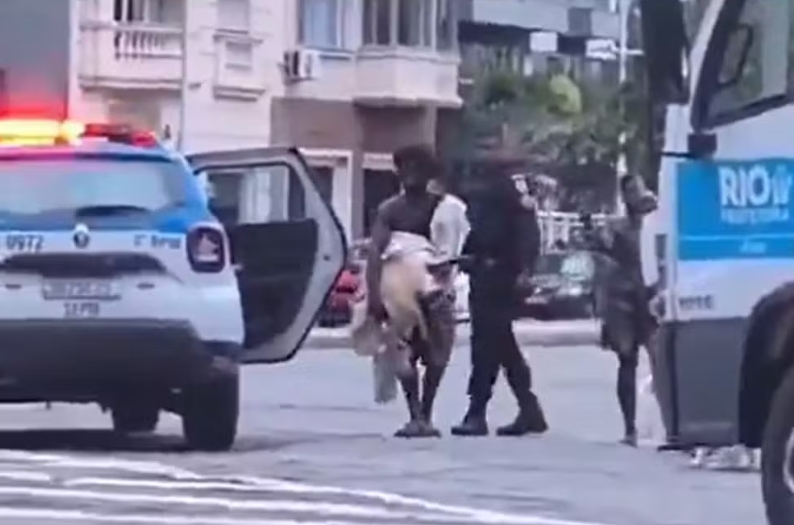 Tartaruga gigante é salva pela polícia no Flamengo e escapa de virar sopa