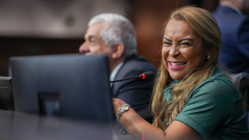 Rio pode ter campanha para evitar que motoristas dirijam com pets no colo