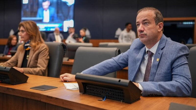 Alerj pode obrigar creches e hotéis para pets a terem câmeras de monitoramento