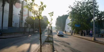 Dos Ingleses ao Araújo: vereadora quer expandir mapa da ZN com dois novos bairros