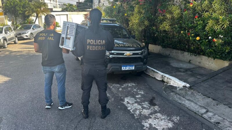 Irmãos de 15 e 13 anos são alvo de operação da PF por estupro virtual e pornografia infantil