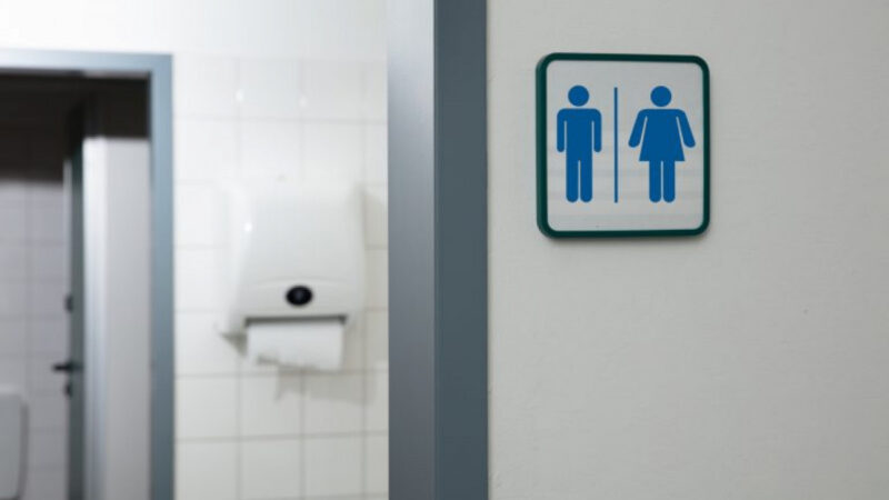 Câmara de Petrópolis aprova lei que limita uso de banheiros para pessoas trans