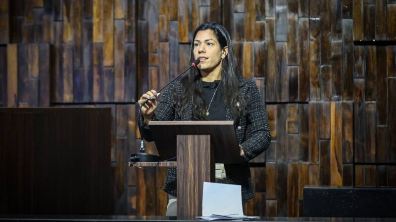 Rio pode ter terapeuta obrigatório em hospitais públicos e privados