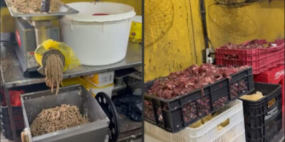 Fábrica clandestina de salgados é interditada no Rio após flagrante de ratos e alimentos vencidos