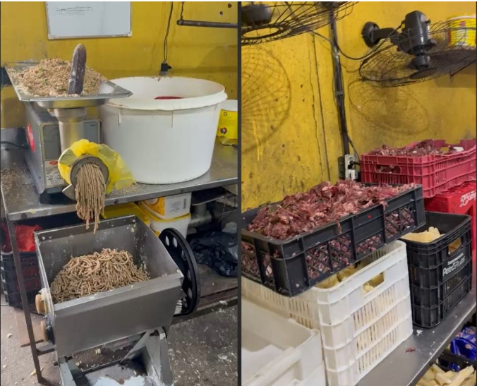 Fábrica clandestina de salgados é interditada no Rio após flagrante de ratos e alimentos vencidos