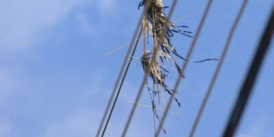Pipas na rede elétrica deixaram 207 mil sem luz no RJ em 2024; saiba como evitar acidentes