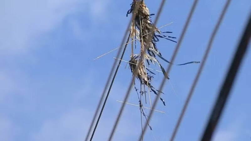 Pipas na rede elétrica deixaram 207 mil sem luz no RJ em 2024; saiba como evitar acidentes