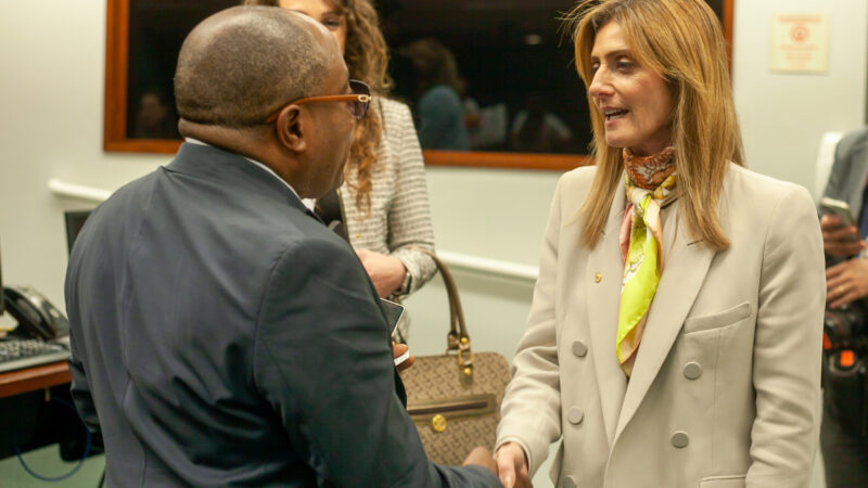 Violência de gênero: frente parlamentar do Brics discute o tema em Brasília