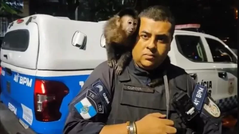 PM resgata macaco-prego usado como símbolo de ostentação por criminosos no Rio
