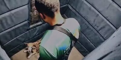 Polícia Civil pede a prisão de passeador de cães que agrediu cadela idosa no Leblon