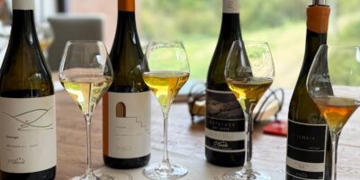 Vinhos produzidos no estado terão selo ‘Serra do Rio’