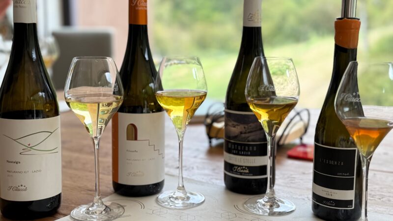 Vinhos produzidos no estado terão selo ‘Serra do Rio’