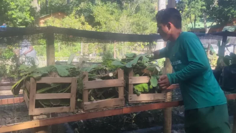 Cabo Frio acelera recuperação de espécies nativas com foco na restinga e no reflorestamento