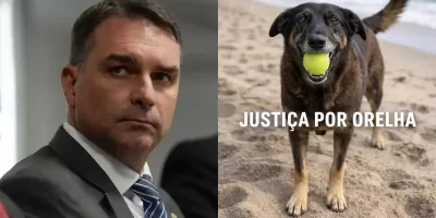 Barbárie contra o cão Orelha: Flávio Bolsonaro lidera ofensiva pela redução da maioridade penal