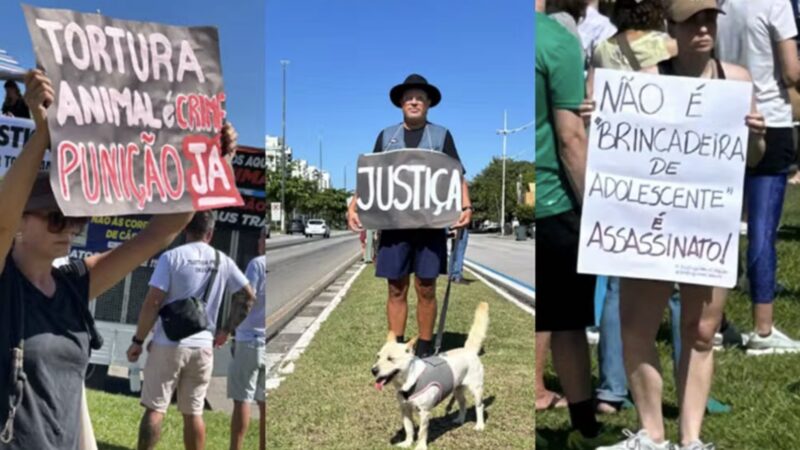 Caso Orelha leva protestos às ruas por todo o Brasil