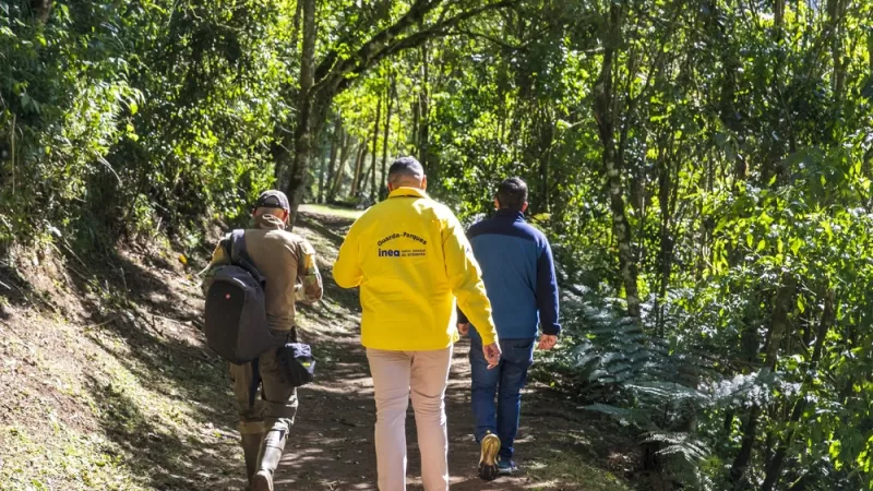 Parques Estaduais Ambientais são refúgio da folia