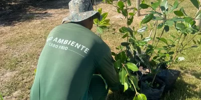 Cabo Frio realiza replantio de mudas de mangue na Praia das Palmeiras