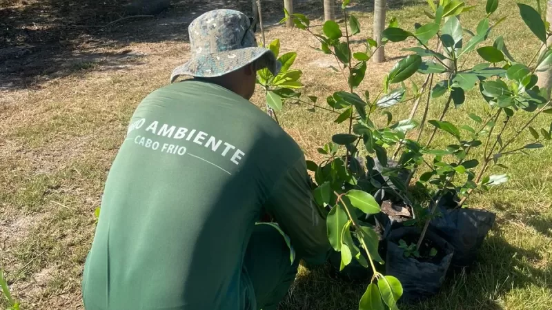Cabo Frio realiza replantio de mudas de mangue na Praia das Palmeiras