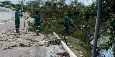 Cabo Frio faz retirada de espécies invasoras no canal Palmer