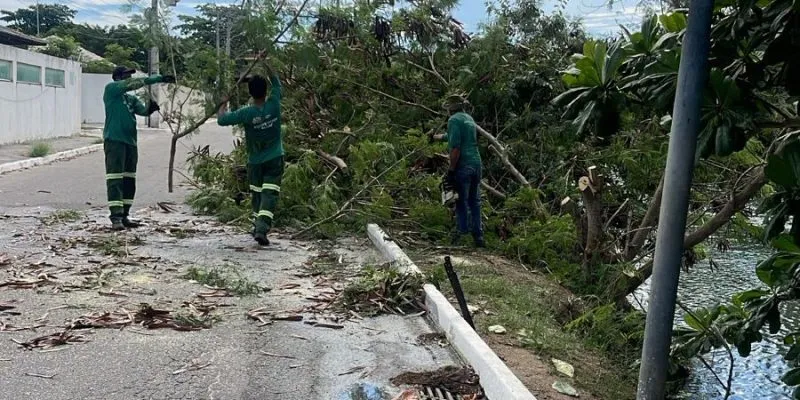 Cabo Frio faz retirada de espécies invasoras no canal Palmer