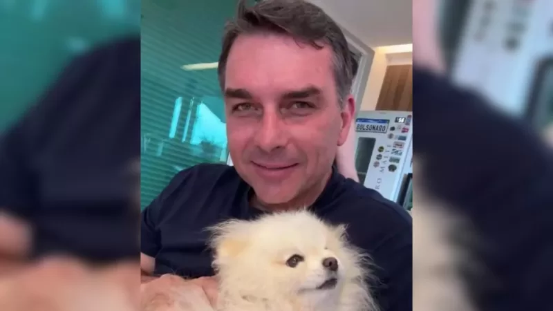 Projeto que amplia canais de denúncia sobre maus-tratos a animais ganha como padrinho poderoso o senador Flávio Bolsonaro